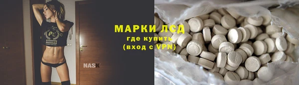ешки Аркадак