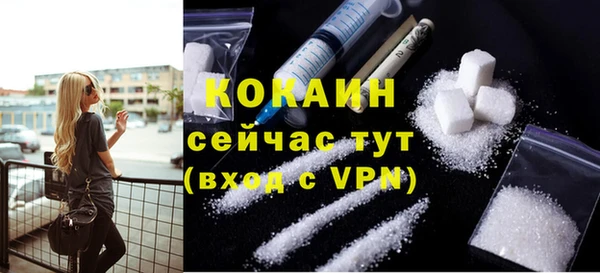 ешки Аркадак