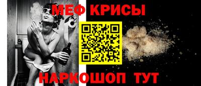 крисы Камышлов