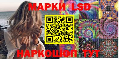 крисы Камышлов