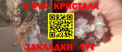 крисы Камышлов