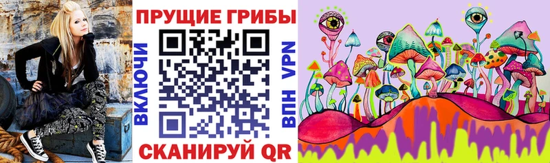 Галлюциногенные грибы Psilocybe  площадка как зайти  Октябрьский 