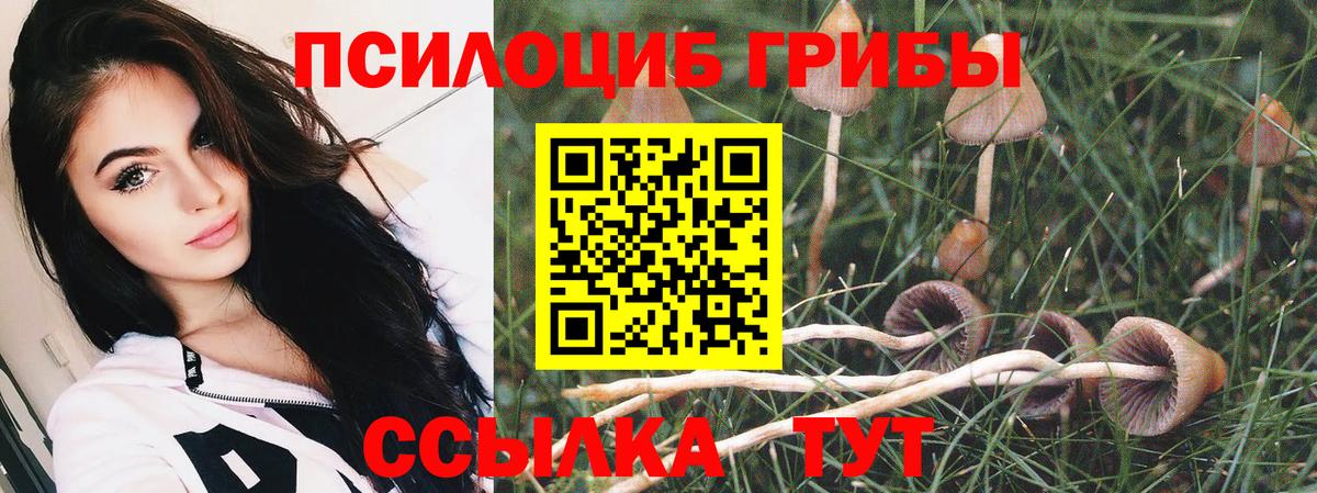 Псилоцибиновые грибы мухоморы  Вход с VPN  Псилоцибиновые грибы MAGIC MUSHROOMS  Октябрьский 